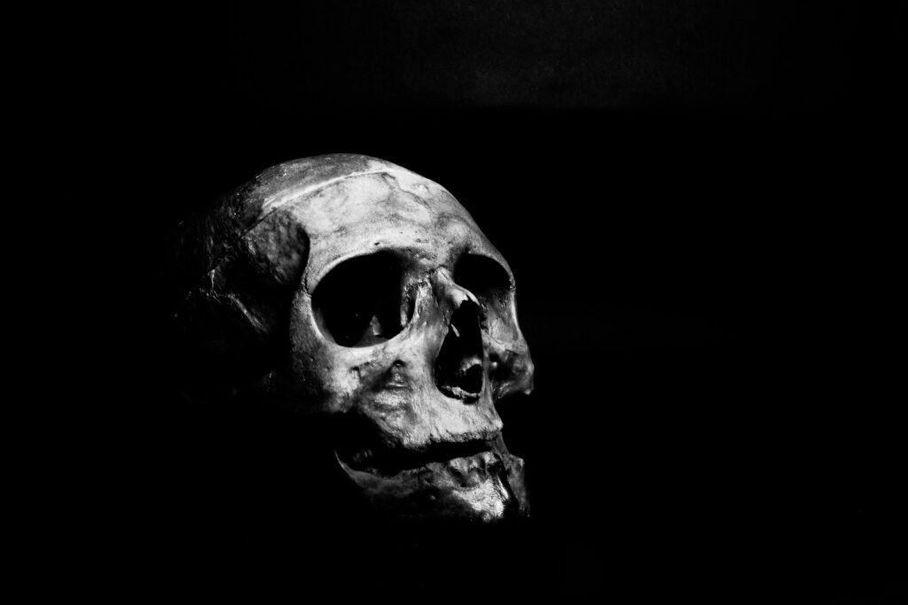 Moody black and white photo of a skull on a dark background.